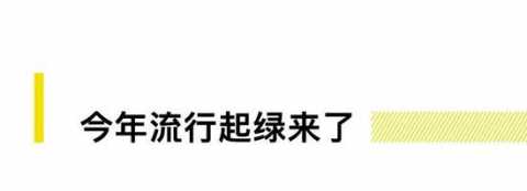 谁说绿色不好搭 消除你对